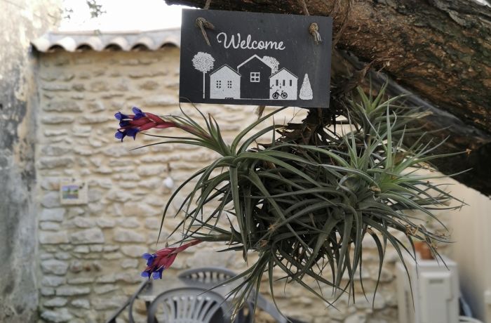 rental of the gites under the olive tree gite Le mazet under the olive tree lounge area