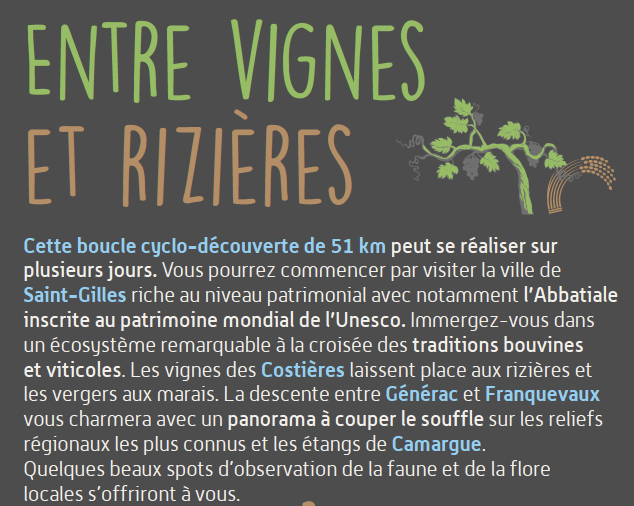 Tour "Entre Vignes et Rizières"