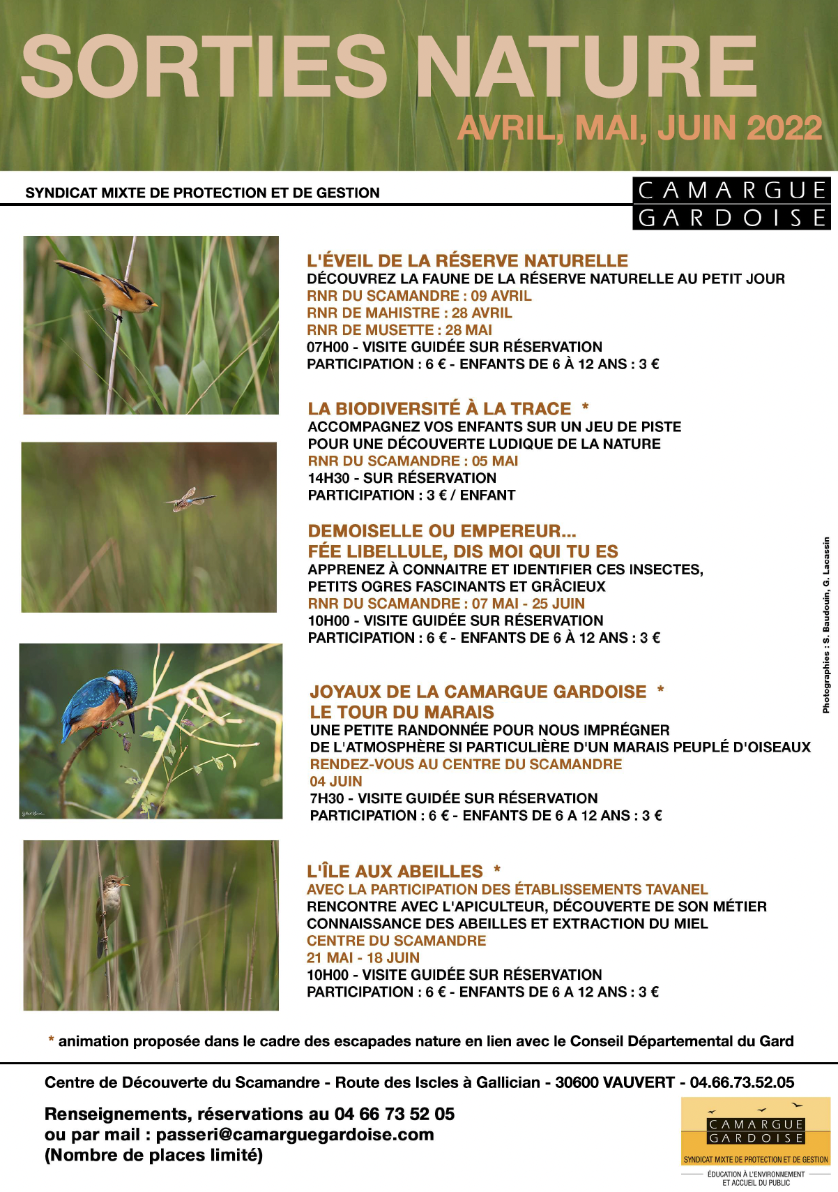 Identifier les insectes - Le Scamandre - Gallician - 07 mai et 25 juin
