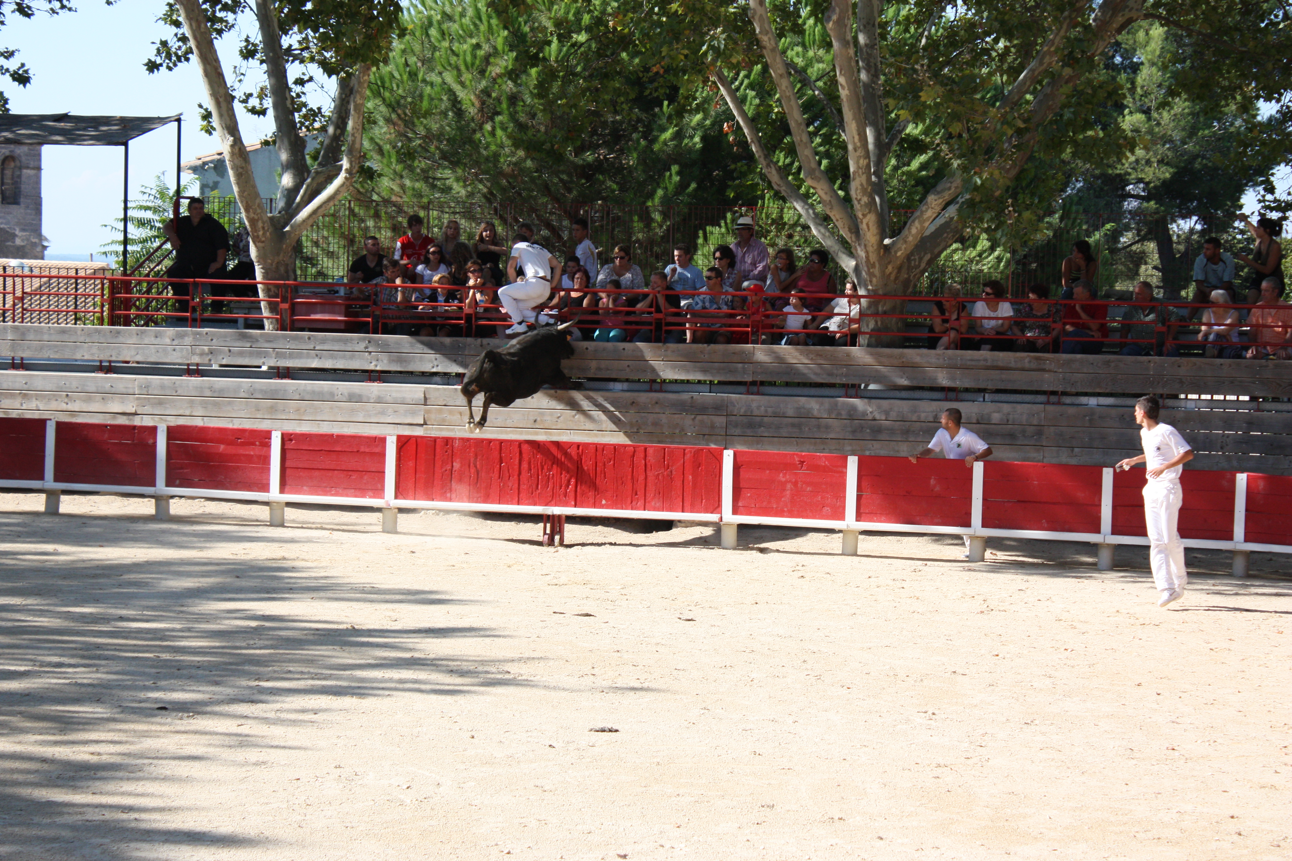 Fete de la Saladelle - 31 août 2025 - Le Cailar