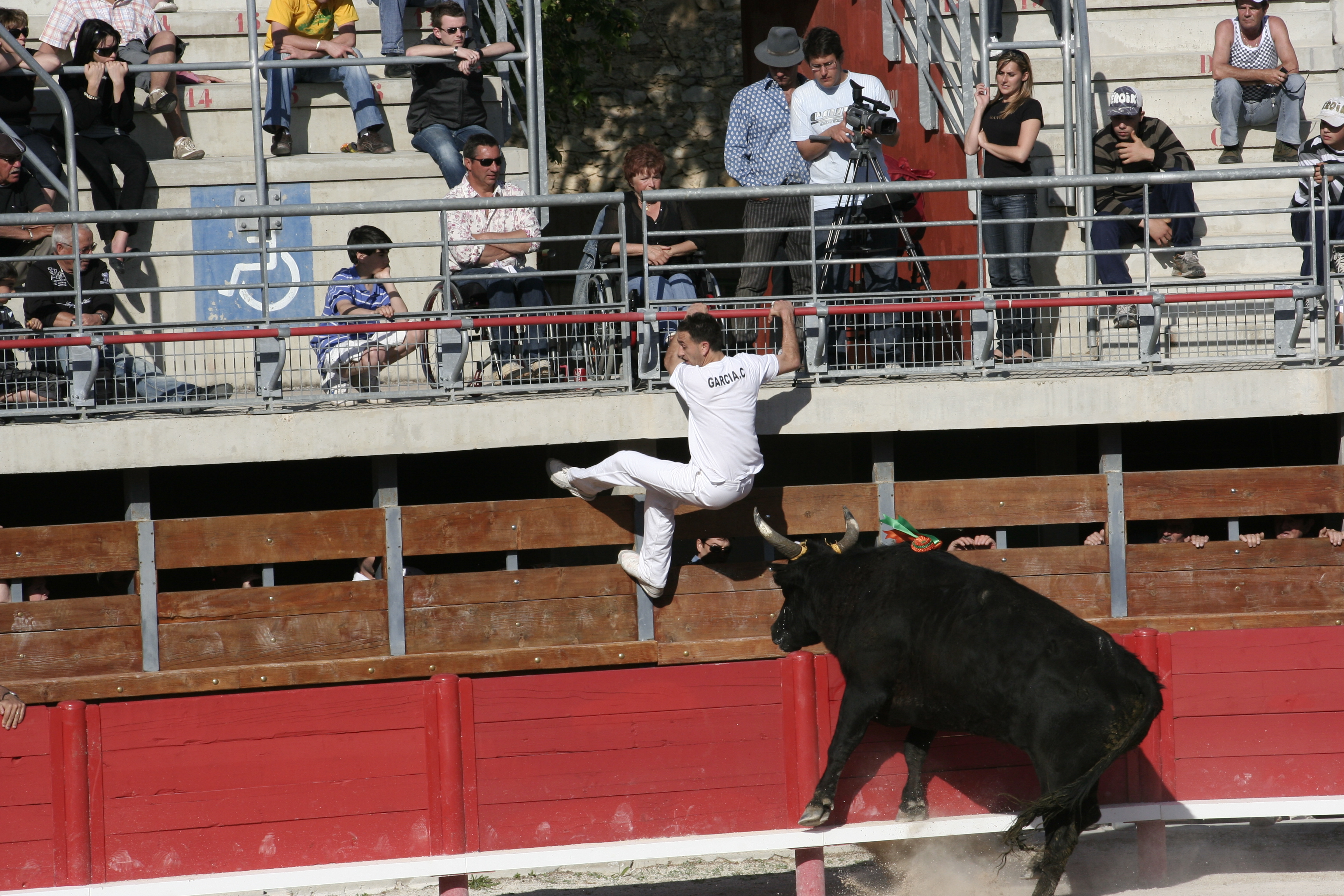 Course camarguaise beauvoisin dimanche 08 mai 16h30