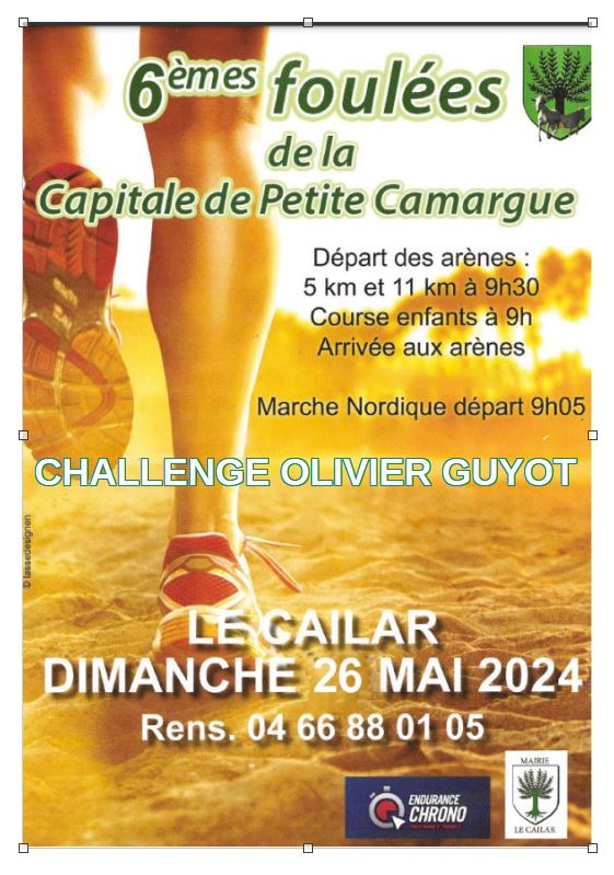 Foulée de la Capitale de Petite Camargue - Dimanche 26 mai Le Cailar