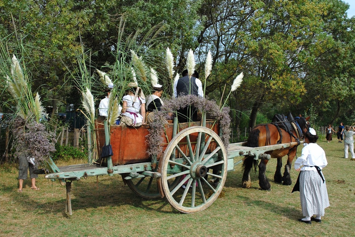 Fete de la Saladelle - 31 août 2025 - Le Cailar