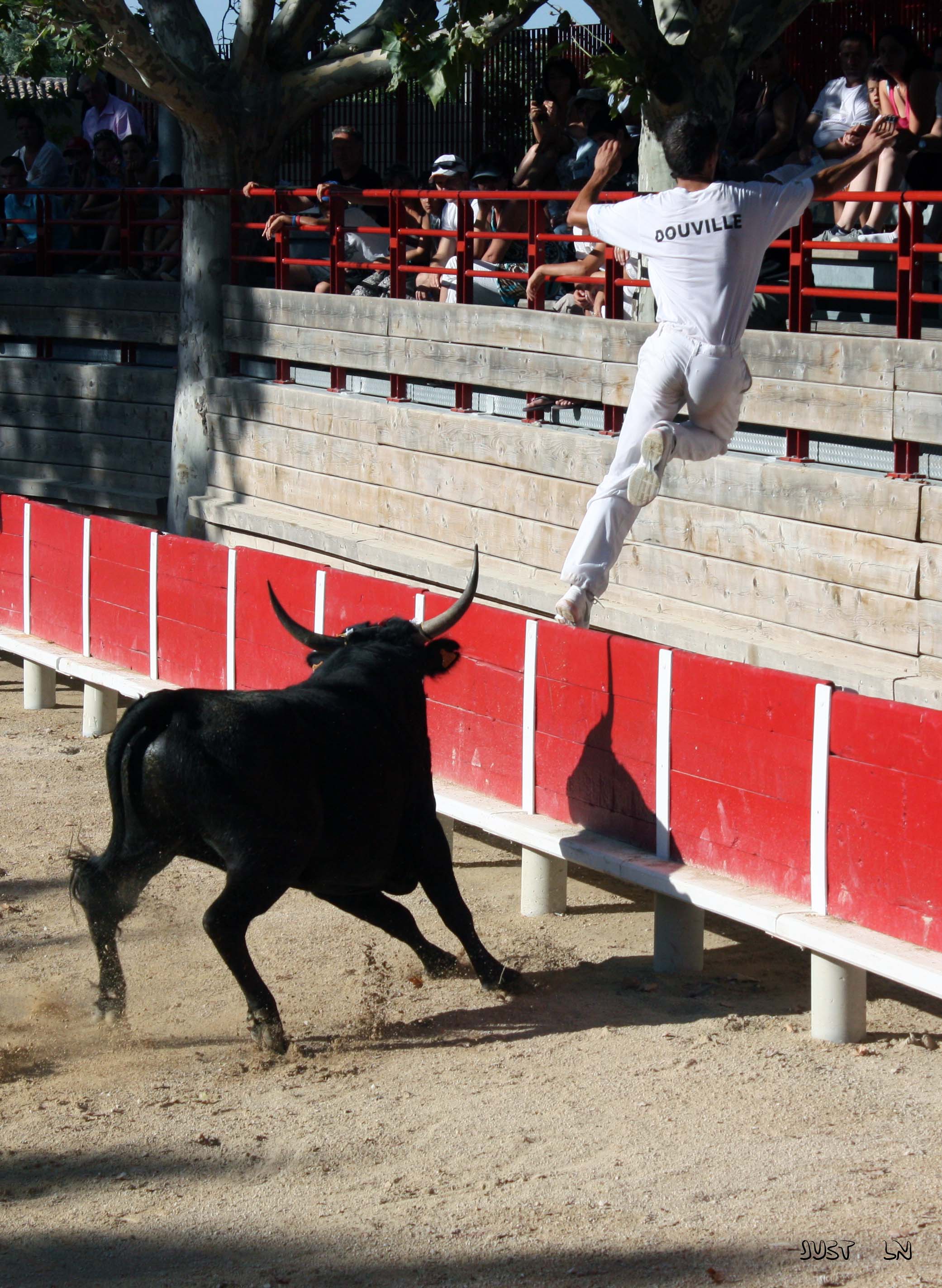 Tradition camarguaise - Fête de l'Automne du 27 au 29 septembre 2024 Aimargues