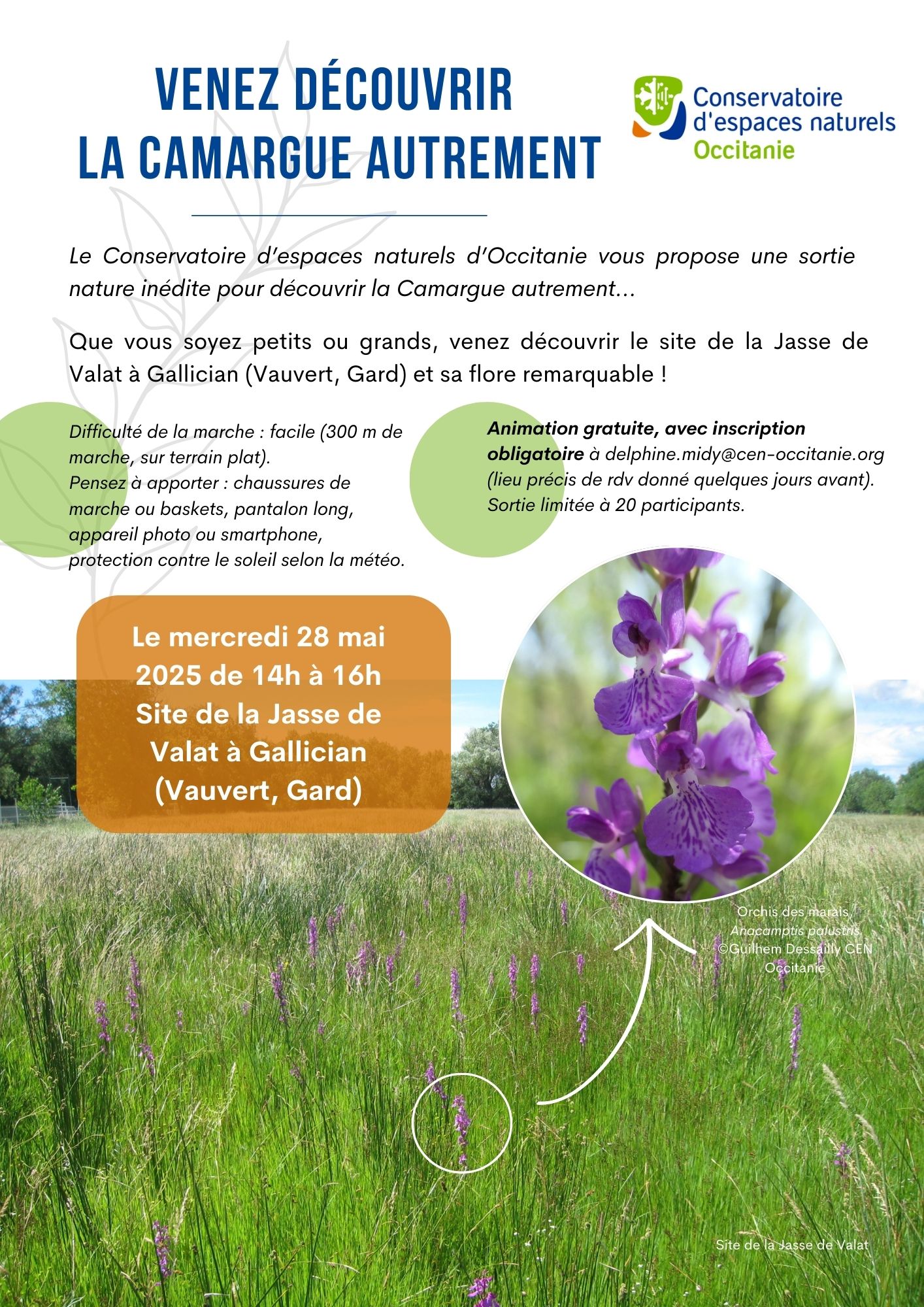 Sortie Nature : la Camargue autrement - Mercredi 28 mai à Gallician