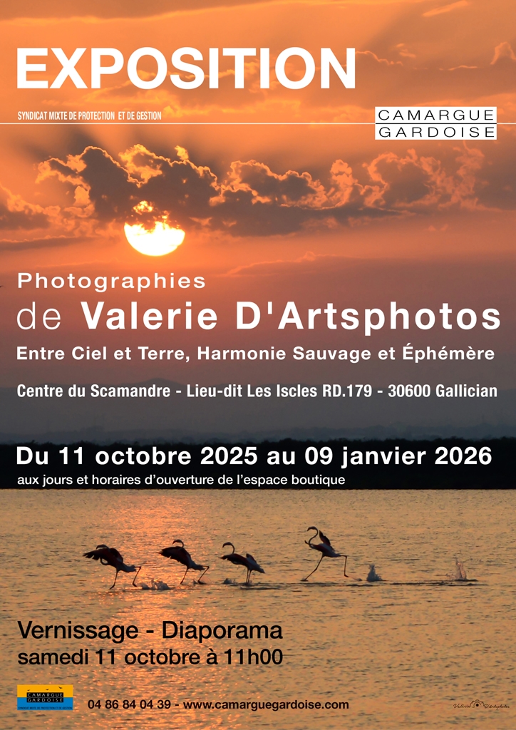 Les goûts et les couleurs du Scamandre - Samedi 11 octobre à Gallician