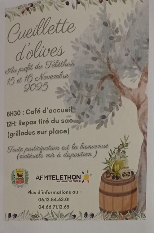 Cueillette des olives aubord 15 et 16 novembre 2025