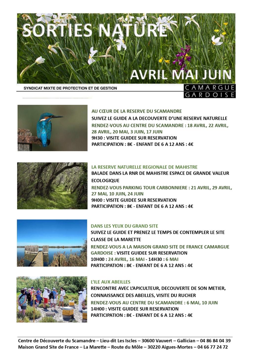 Sortie Nature : la réserve de Mahistre