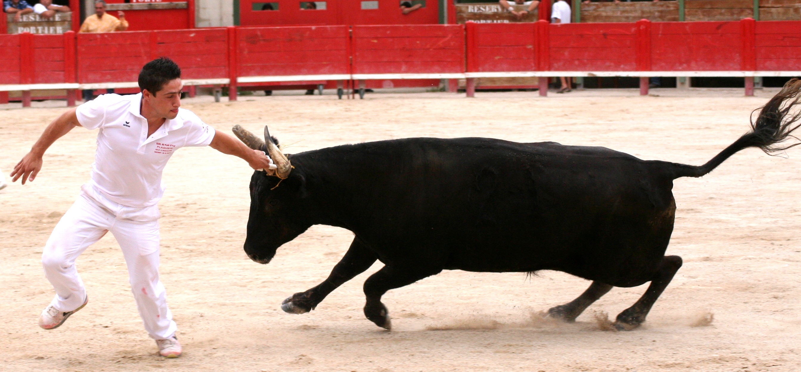 Course camarguaise
