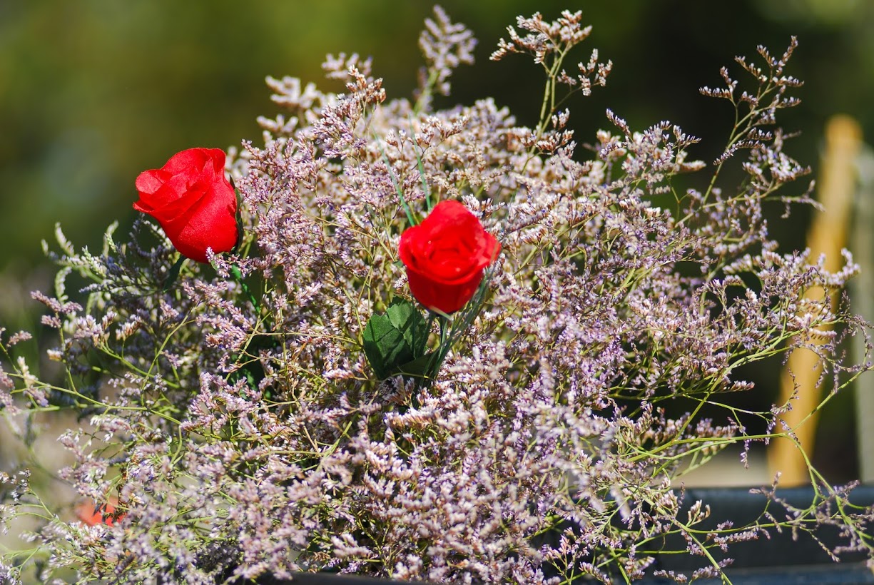 Lou Quila - Fete Saladelle