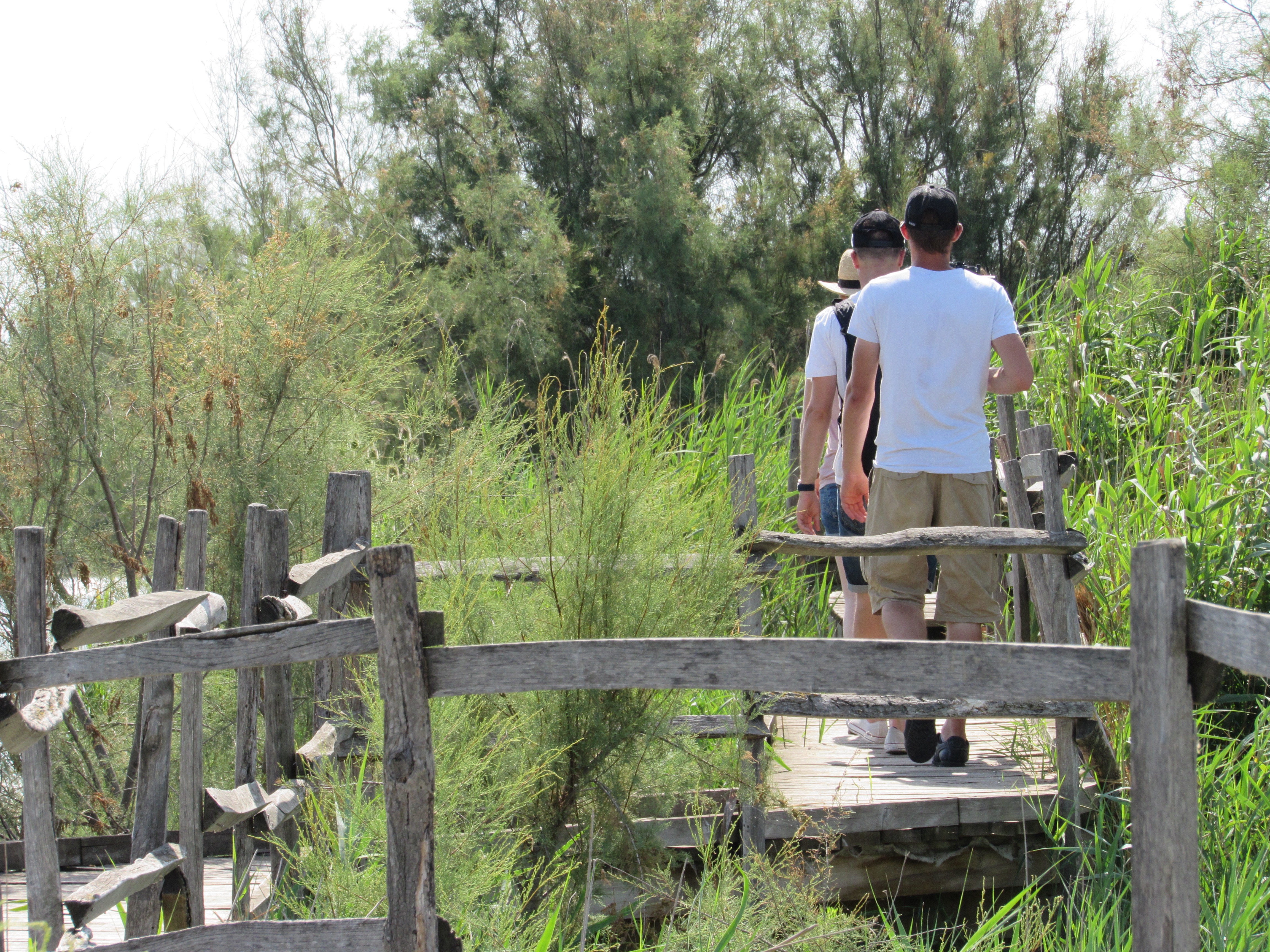 Réserve du Scamandre