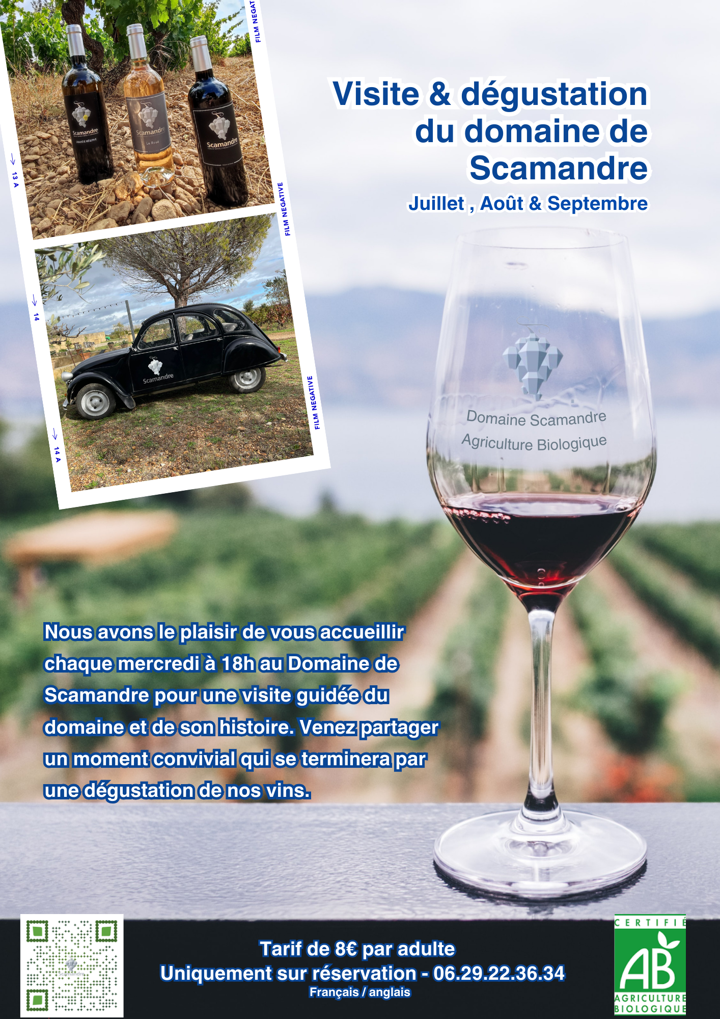 Vignoble Scamandre Vauvert