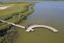 camargue gardoise