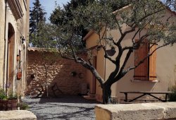 rental the lodgings under the olive tree gîte Le mazet under the outside olive tree
