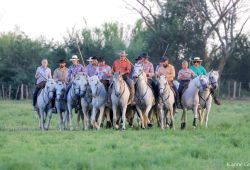 Saint Louis Montcalm ranch