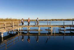 Gallician Scamander Center