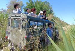 Safari Karine Coeur de Camargue