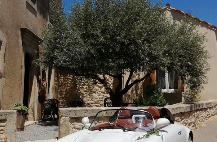 rental gites under the olive tree gite Le mazet under the olive tree outside Vauvert