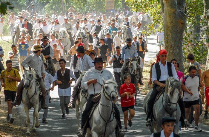 Camargue votive festival