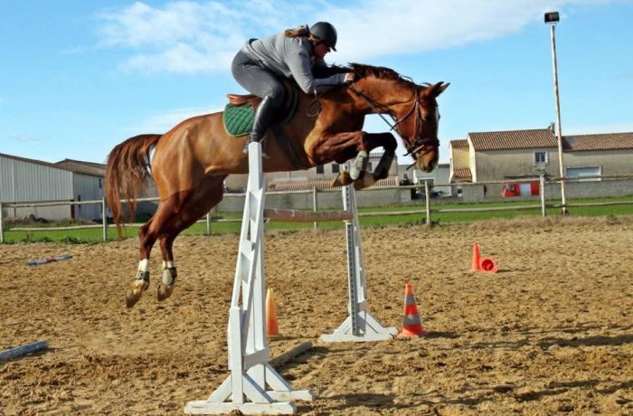 Mas d'estanion aimargues