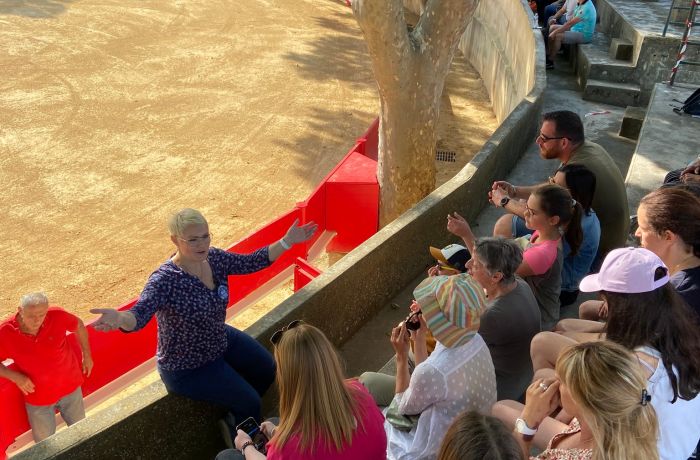 Alicia's Guided Tours