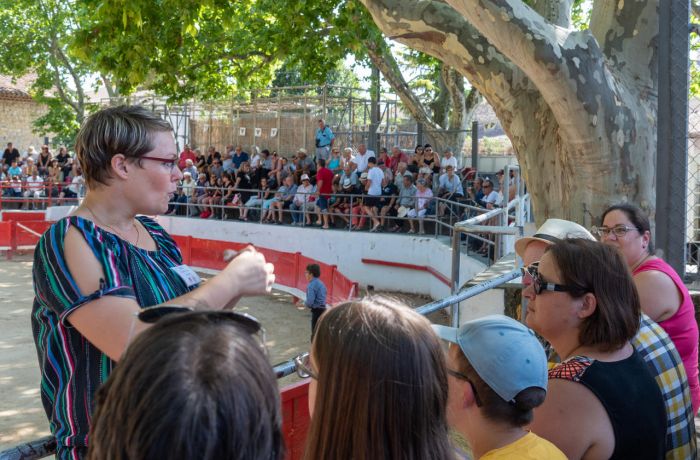 Alicia's Guided Tours