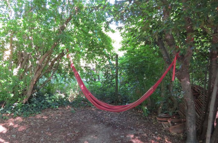 Dormitory room, natural welcome, relaxation area
