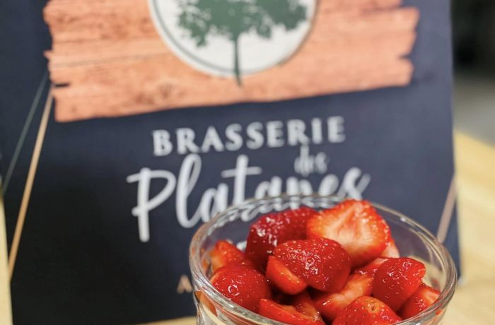 Restaurant - Brasserie des Platanes