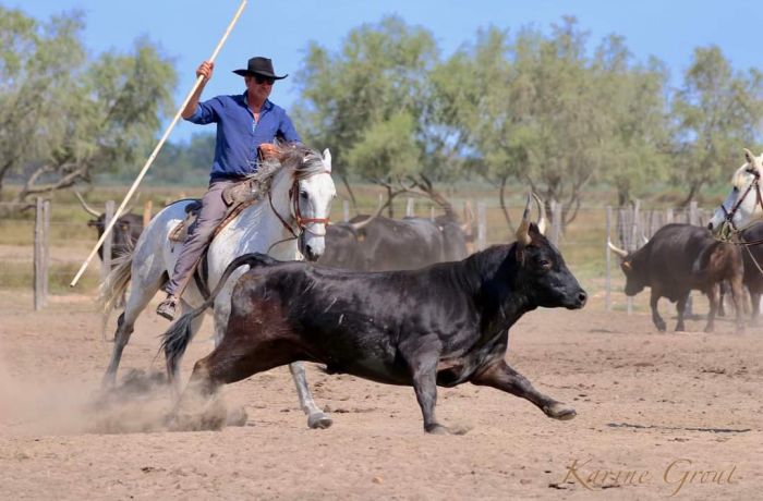 manade saint louis montcalm