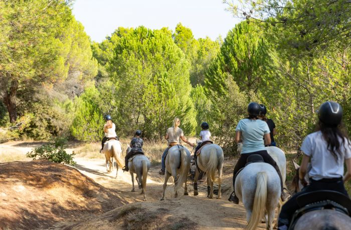 Camargue horseback riding with Théo Beauvoisin