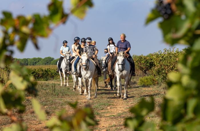 Camargue horseback riding at Théo Beauvoisin's