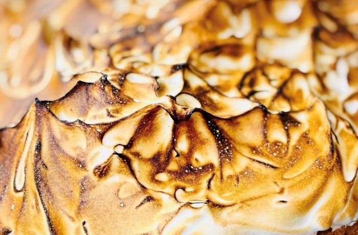 Restaurant - Brasserie des Platanes