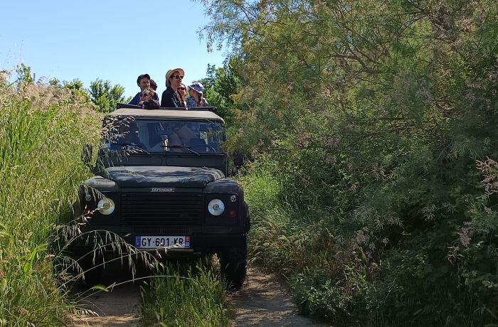 safari karine coeur de camargue